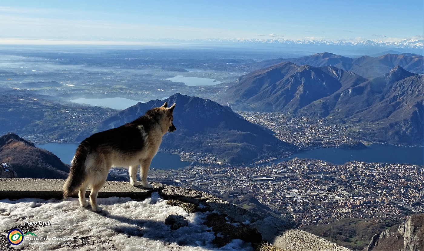 04 Dal Resegone vista spettacolare su Lecco, i suoi laghi , i suoi monti.JPG -                                